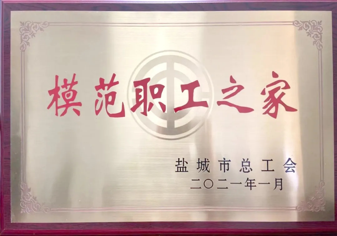홈 홈 카지노