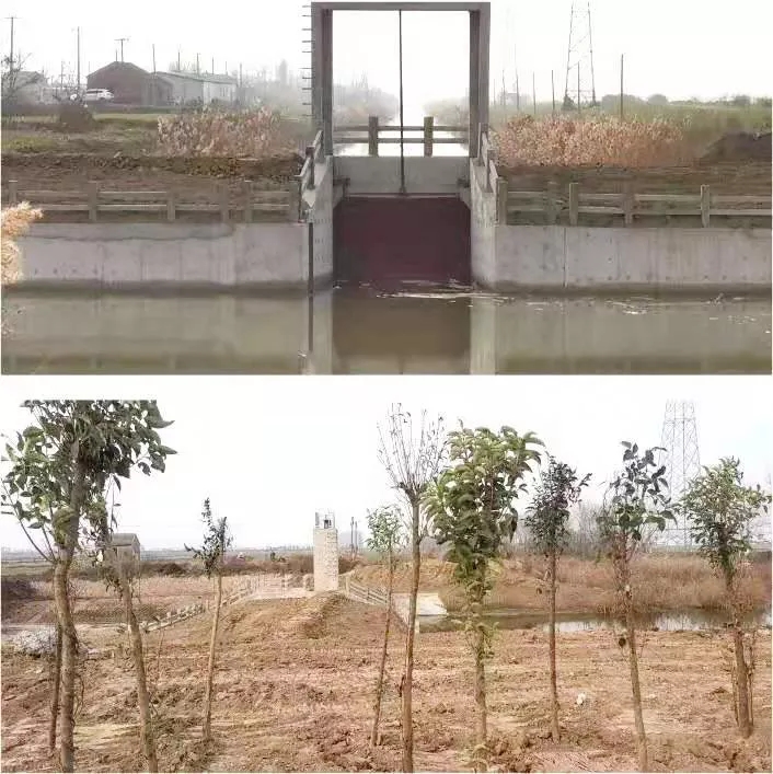카지노 커뮤니티 커뮤니티