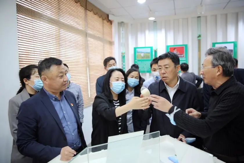 카지노 보증 보증