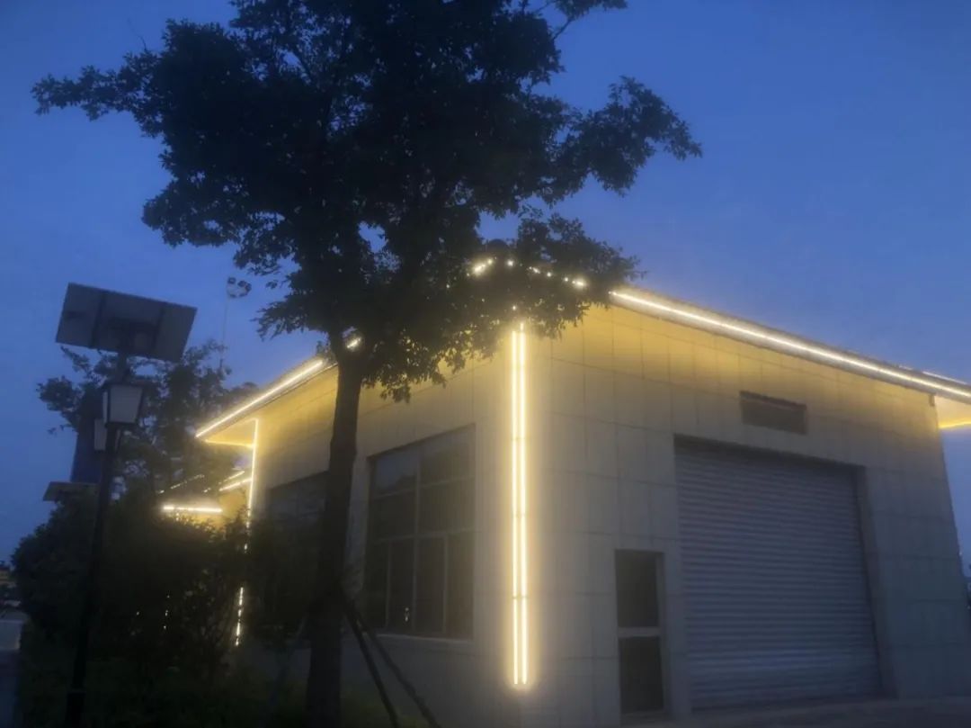 온라인 카지노 사이트